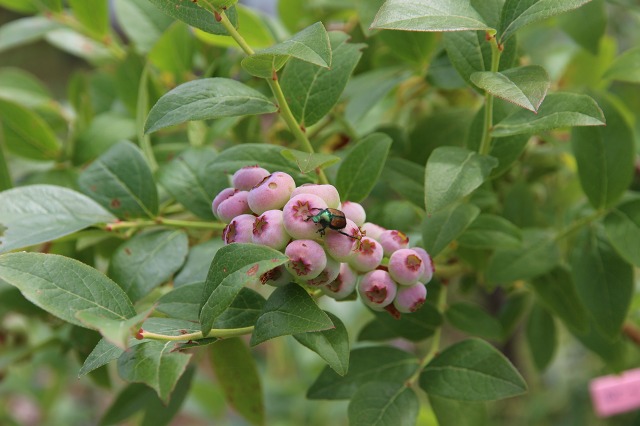 ファイル 65-4.jpg