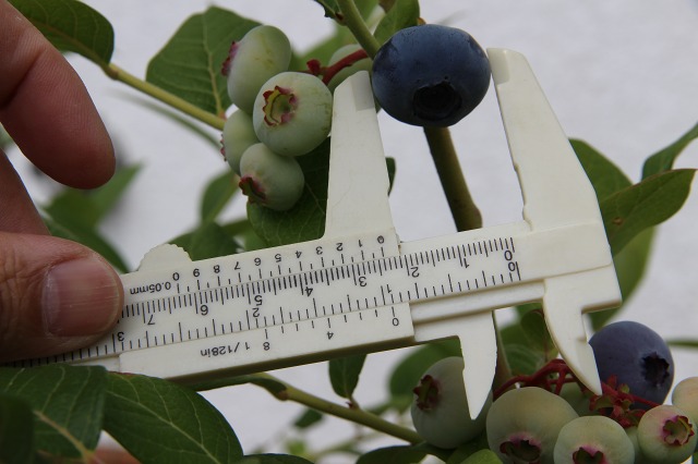 ファイル 65-5.jpg