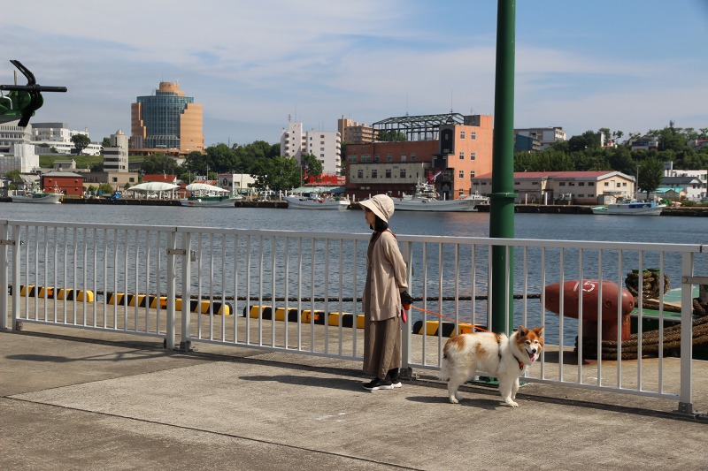 ファイル 66-7.jpg