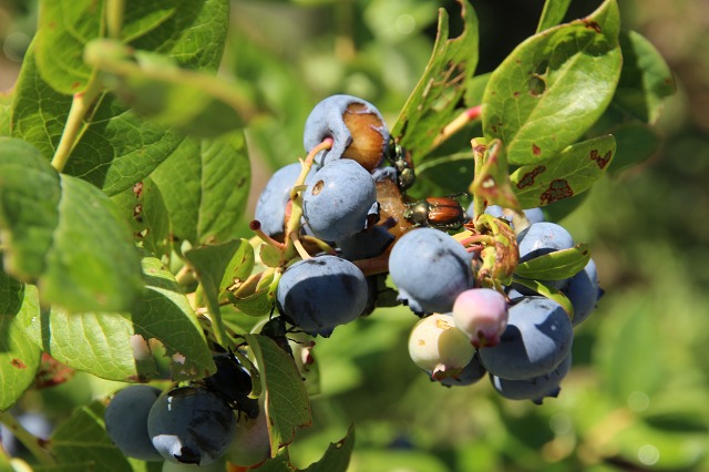 ファイル 68-1.jpg