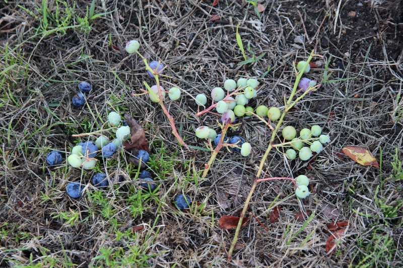 ファイル 69-6.jpg