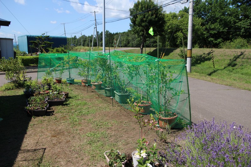 ファイル 69-7.jpg