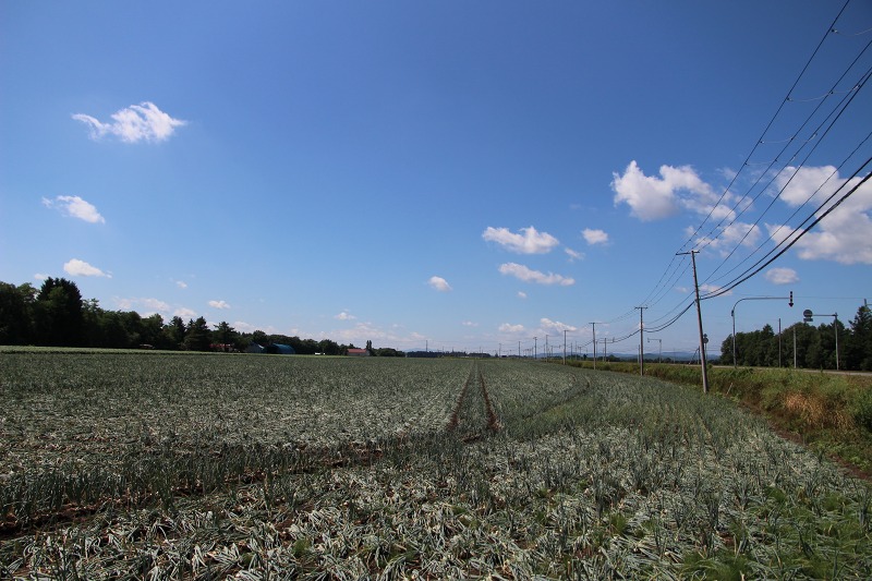 ファイル 69-8.jpg