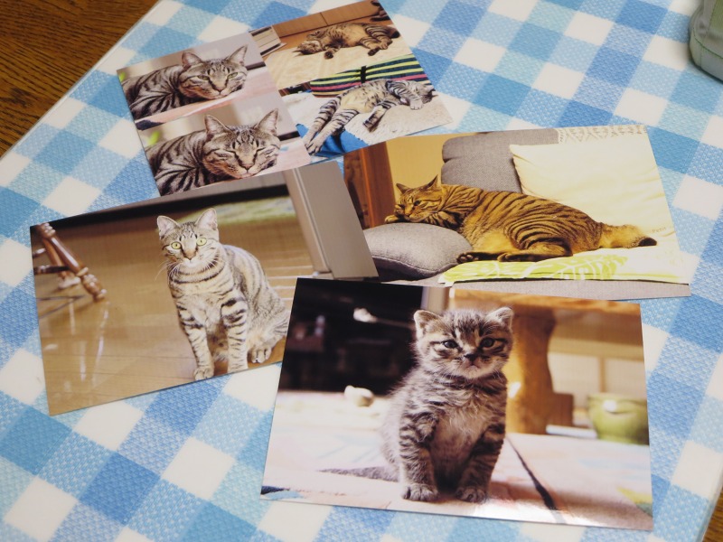 ファイル 7-1.jpg