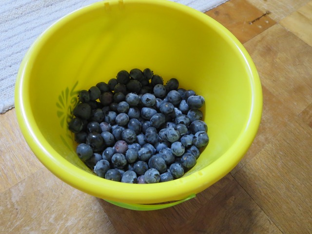 ファイル 70-4.jpg