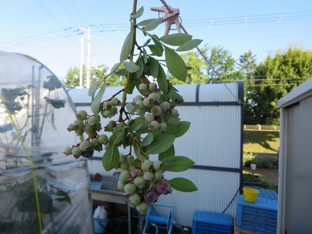 ファイル 70-5.jpg