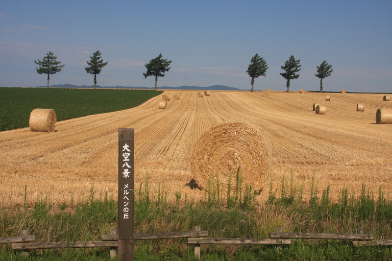 ファイル 70-9.jpg