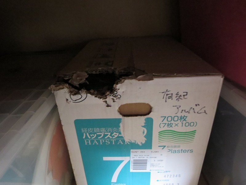 ファイル 71-1.jpg