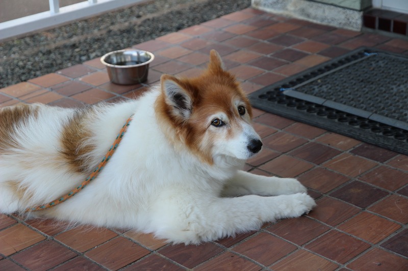 ファイル 71-3.jpg