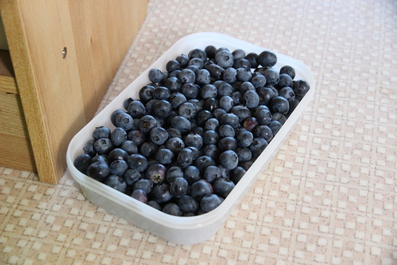 ファイル 71-4.jpg