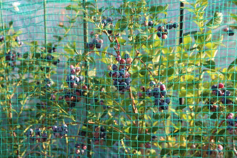 ファイル 71-5.jpg