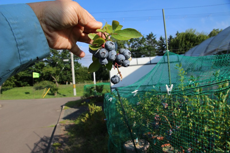 ファイル 71-6.jpg