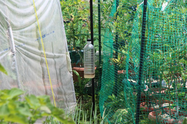 ファイル 73-6.jpg