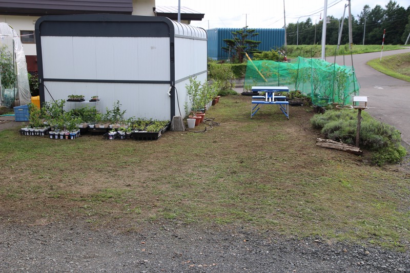 ファイル 74-2.jpg