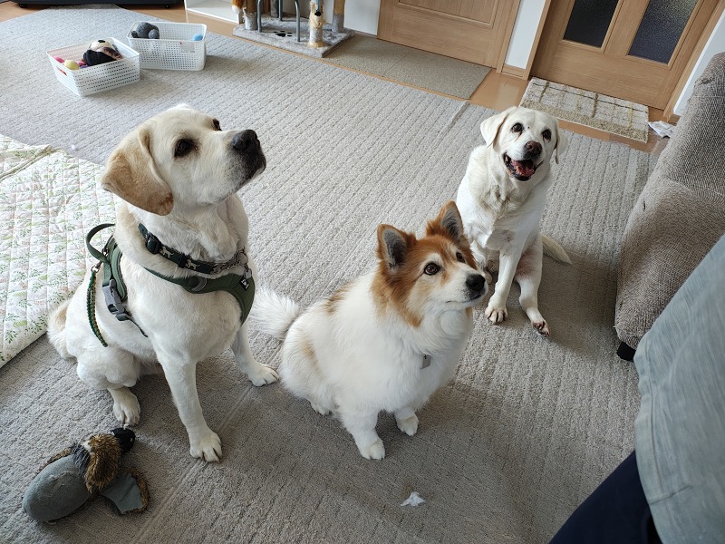 ファイル 74-6.jpg