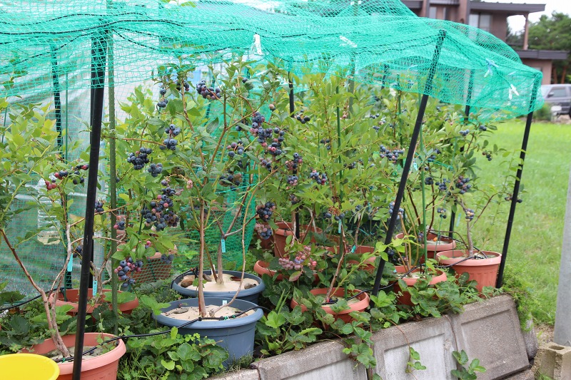 ファイル 75-5.jpg