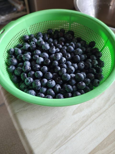 ファイル 75-6.jpg