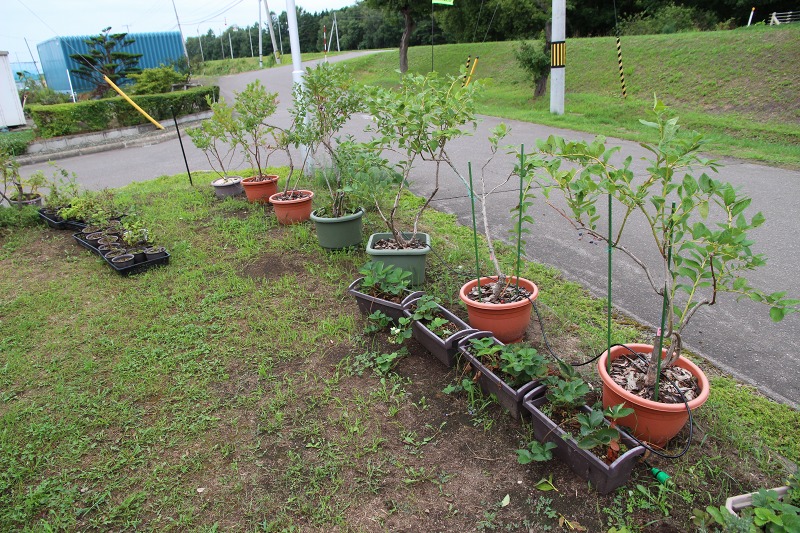 ファイル 77-2.jpg