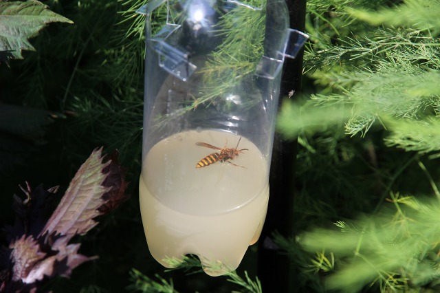 ファイル 79-1.jpg