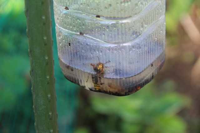 ファイル 79-2.jpg