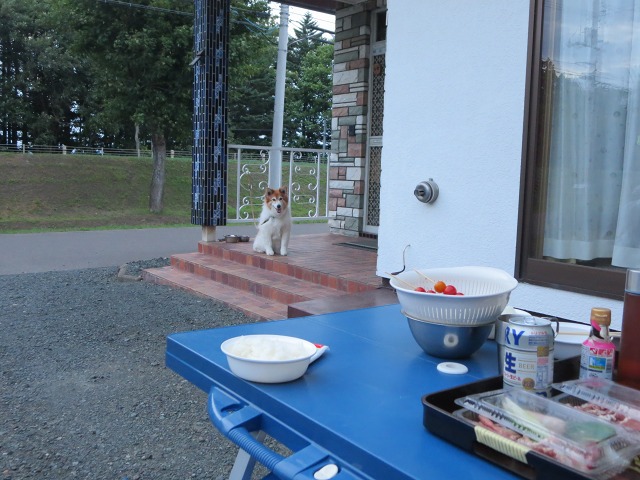 ファイル 80-1.jpg