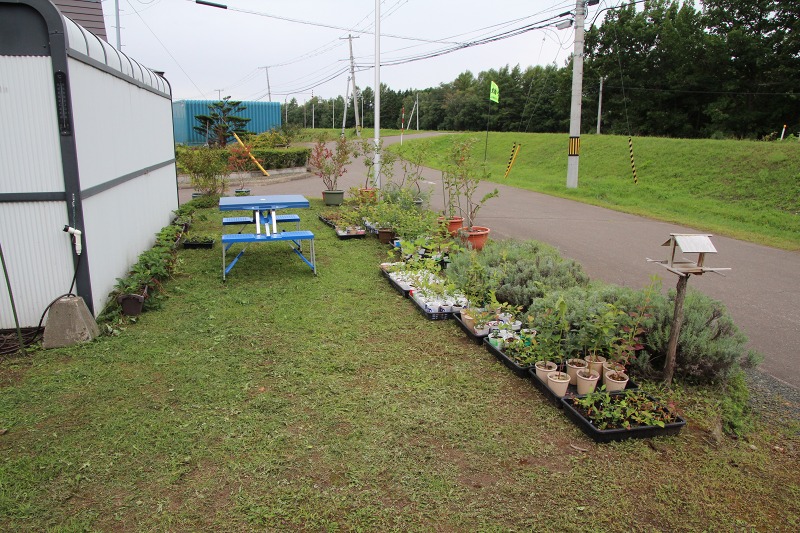 ファイル 83-1.jpg