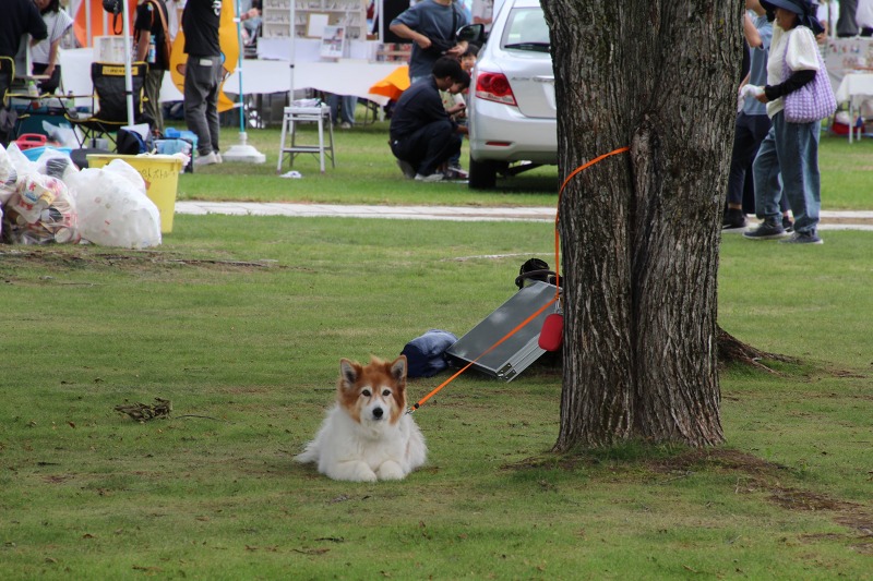 ファイル 83-8.jpg