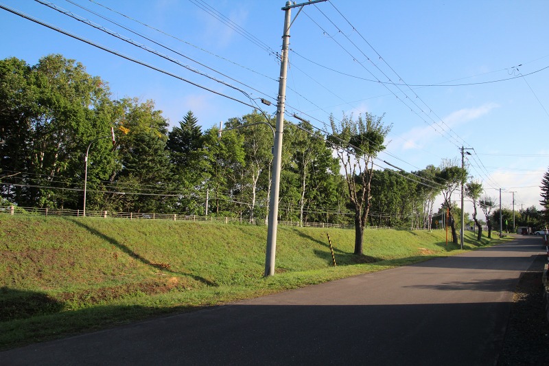 ファイル 84-1.jpg