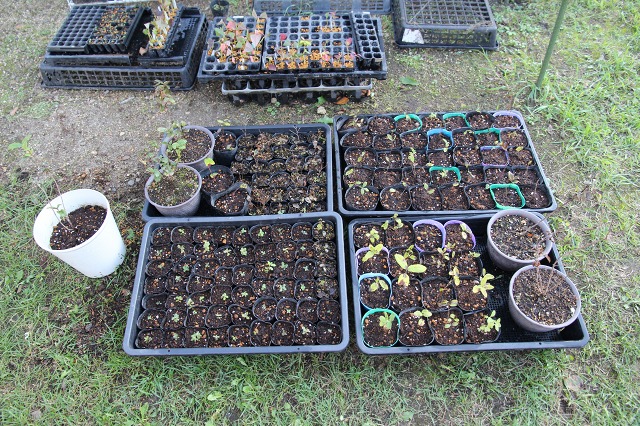 ファイル 85-5.jpg