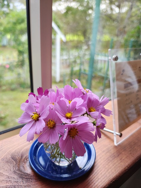 ファイル 91-1.jpg