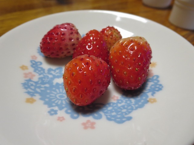 ファイル 91-6.jpg