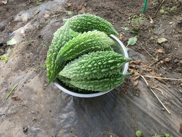 ファイル 92-3.jpg