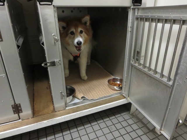 ファイル 95-5.jpg