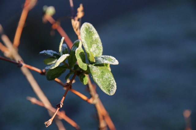 ファイル 98-2.jpg