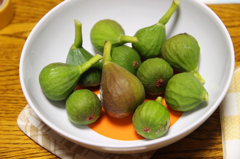 ファイル 99-1.jpg