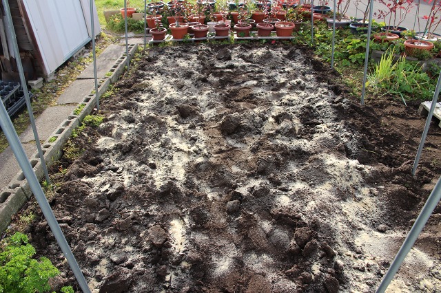 ファイル 99-4.jpg