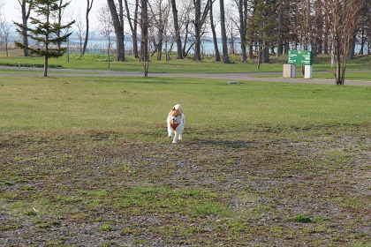 ファイル 100-8.jpg