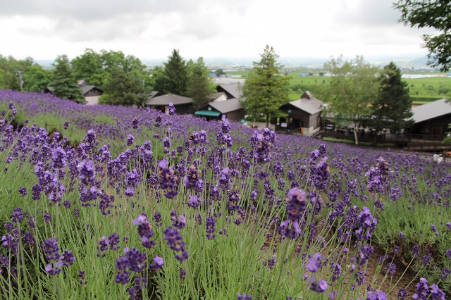 ファイル 101-2.jpg