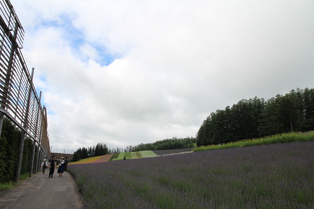 ファイル 101-4.jpg