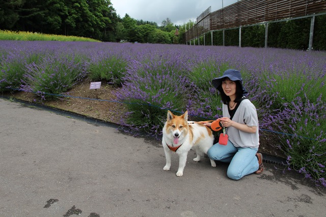 ファイル 101-5.jpg