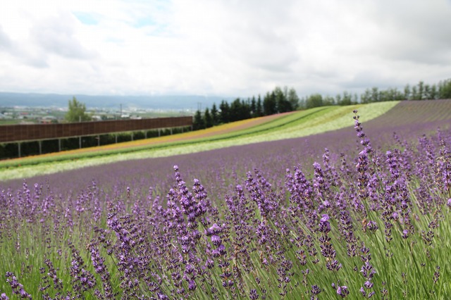 ファイル 101-6.jpg