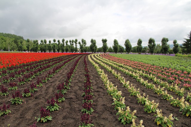 ファイル 102-2.jpg