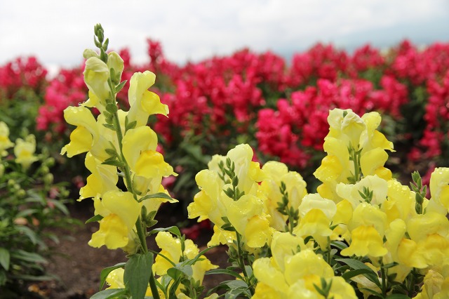 ファイル 102-6.jpg