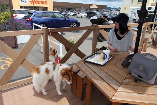 ファイル 103-1.jpg