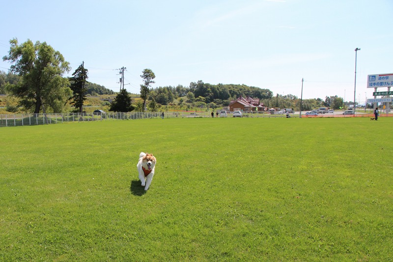 ファイル 105-7.jpg