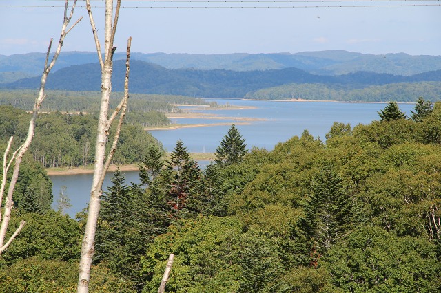 ファイル 106-1.jpg