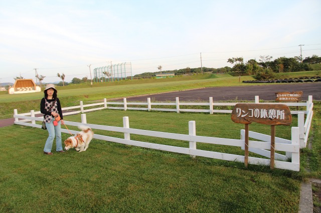 ファイル 107-2.jpg