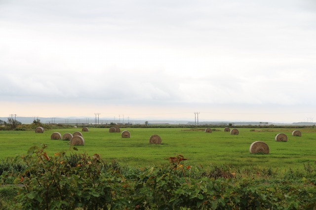 ファイル 109-3.jpg