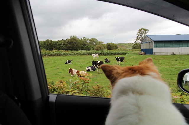 ファイル 109-4.jpg