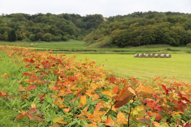 ファイル 109-6.jpg